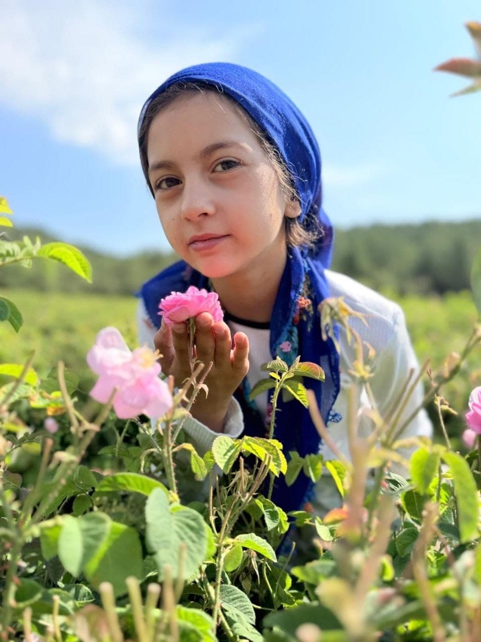 Gül bahçesinde avucundaki gülü koklayan bir kişi
